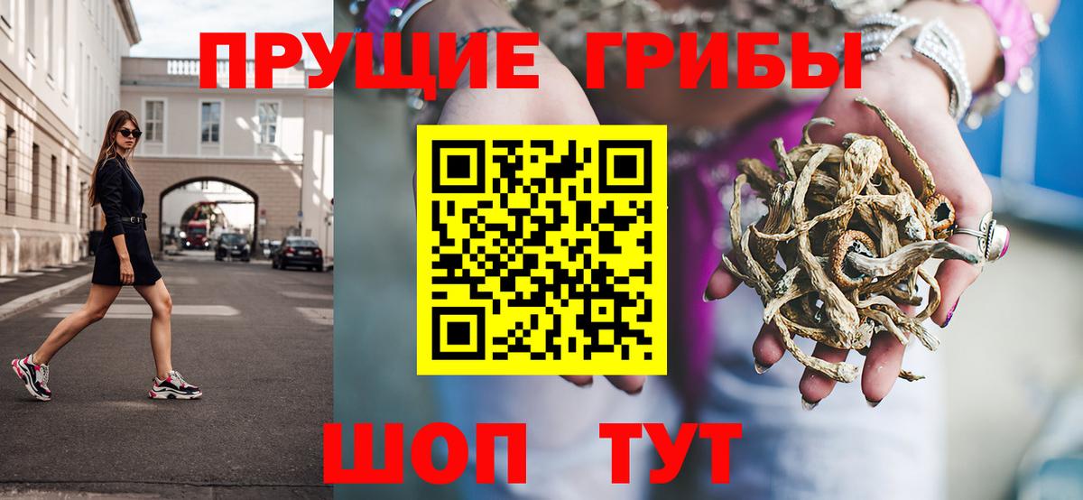 Мценск  Псилоцибиновые грибы MAGIC MUSHROOMS  Вход с VPN 