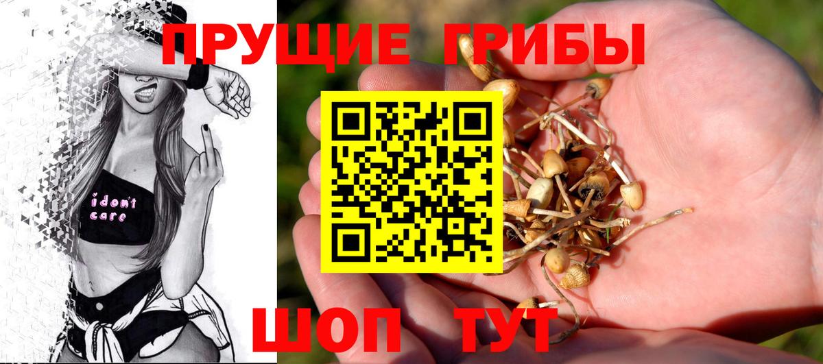 Галлюциногенные грибы мухоморы Мценск
